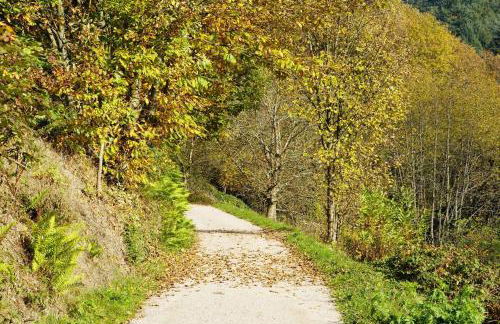 Ferienwohnung Wintereck - Foto 30