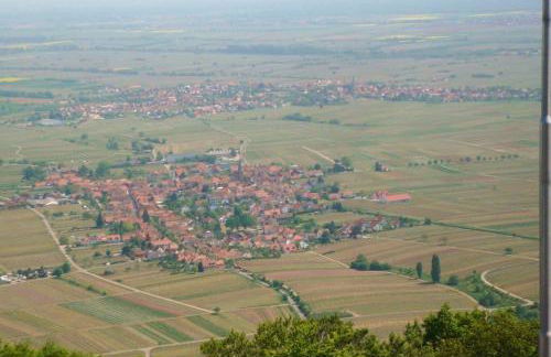 Phönix aus der Asche - Foto 37