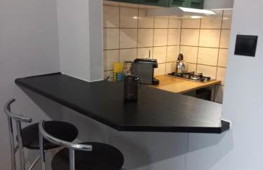 Przytulne Studio Góry Sowie - Foto 8