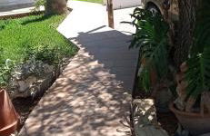 La Luciérnaga - Foto 45