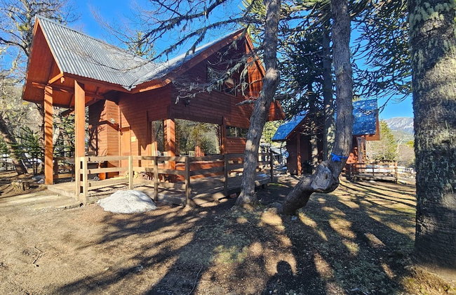 Oceana Suites Corralco - Photo 48