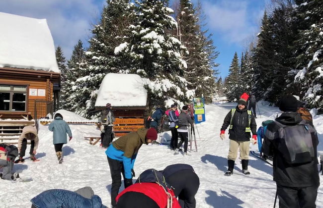 auberge du vieux foyer - Foto 19