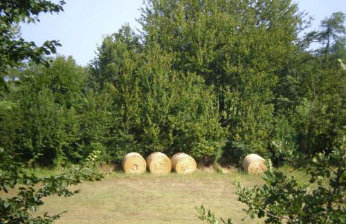 Agriturismo Villa Cheti - Foto 83