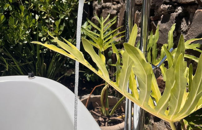 Alma Iguassu Vila - Foto 66