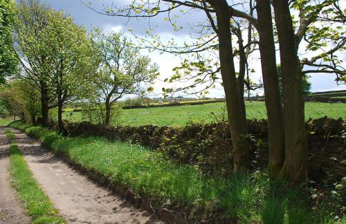 Freebirch Barn - Cottage - Foto 14