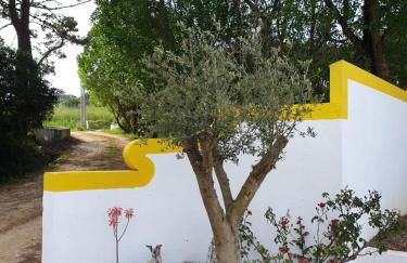 Sondela Self Catering - Foto 62