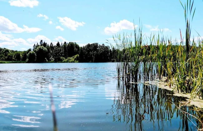 Ferienwohnung mit Terrasse in Kropelin - Foto 30