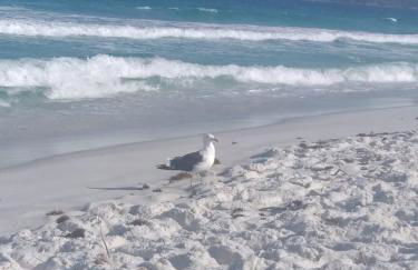 Apto Pé na Areia - Wi-Fi Gratuito - Tranquilidade à beira mar - Foto 17