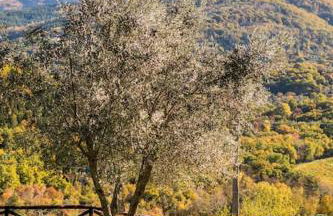 "Le Balze" spacious barrier free Studio for 2 guests & child - Foto 38