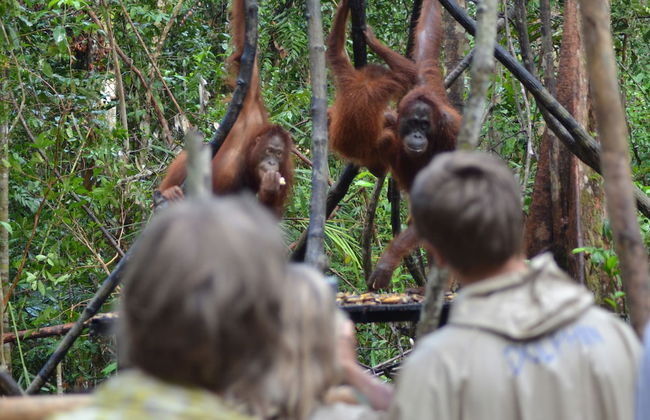 Houseboat Bee Kelotok - Foto 69