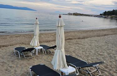 Beach Apartment B - Photo 26