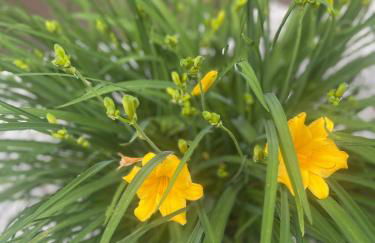 ATL 3BD KING BED NEAR STADIUM WHOLE HOUSE FREE WiFi - Foto 17