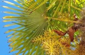 Château Bernon Gite 15 Personnes - piscine et SPA - Foto 47