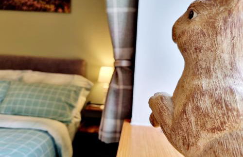 Hill View 2 bedroom free parking - Photo 42