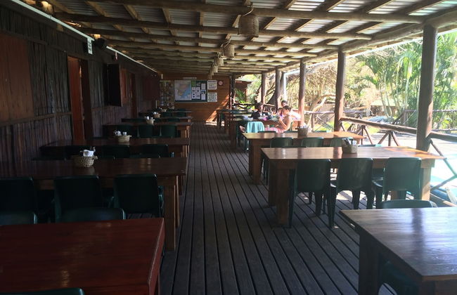 Coral Divers - Foto 21