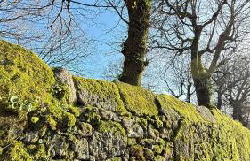 Casa Carlés by URent - Foto 19