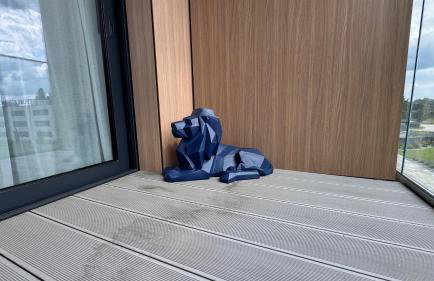 Omega Lake Premium Apartments - Foto 19