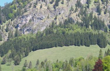 NaturNest Durchatmen - Skipass im Winter und Bergbahnen im Sommer inklusive - Foto 44