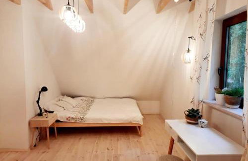 Między Brzozami - Foto 11