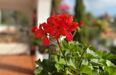 Casa Zawadi - Photo 1