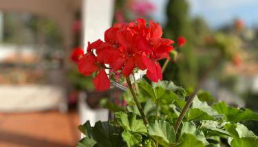 Casa Zawadi - Photo 1