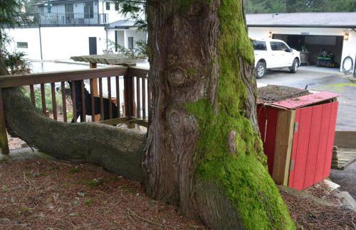 House on Acreage with Farm Animals in Bothell, Close to Seattle Bellevue Kirkland - Foto 27