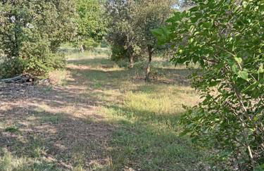 La garenne basse chez Sylvie - Foto 4