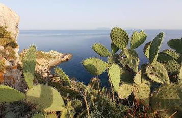 Gemme di Portorosa - Foto 55