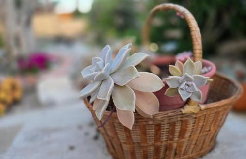 Perivleptos Ι - Foto 33