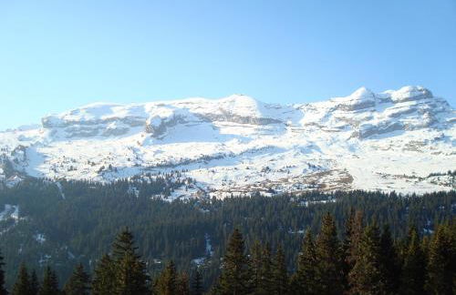 Flaine prime ski in, ski out Apartment - Foto 3