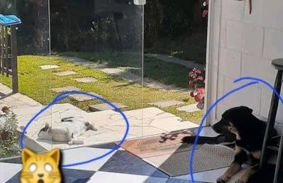 Casa para relaxar, estilosa, privativa e pet friendly - Foto 22