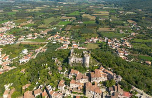 Family Farm Soc. Agr. a r.l. - Foto 51