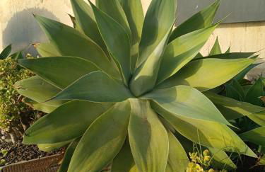 Vista Mar fabulosa Playa y Puerto - Foto 24