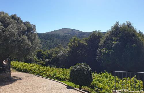 Quinta da Vinha Velha - Foto 9