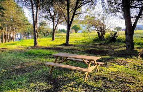 Quinta Vale da Paz - Foto 42