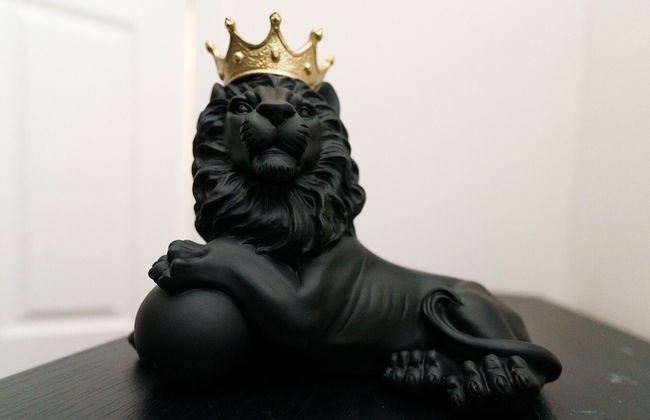 West Park House - Foto 35