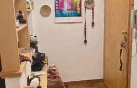 Facing the Sestriere Ski Slopes - Foto 7