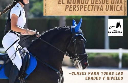 Casa Robles, casa con piscina y barbacoa - Photo 41