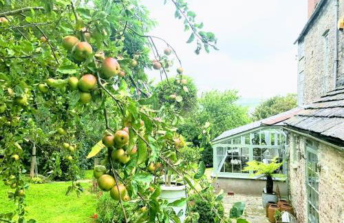 Magnificent Clarence cottage! - Photo 15