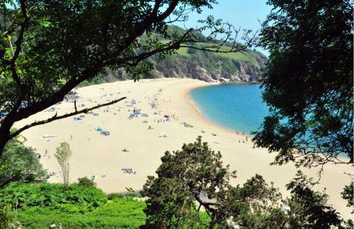 Seaview Palms, Stoke Fleming - Near Dartmouth - Foto 25