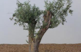 Casa do Roxo - Eco Design Country House - Foto 42