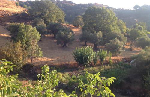 Marika's House - Foto 12