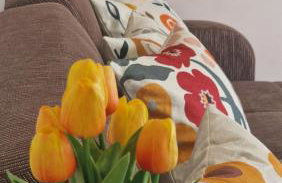 Kofinaki apartment 1 - Tychero Evros - Foto 6