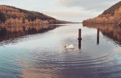 Bonnie Lodge-Lochside Location with Hot Tub - Photo 46