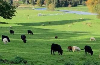 Stables 2bed farm stay private firepit bbq - Foto 13