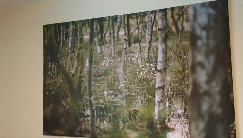 Haus Eickert - Ferienwohnung - Foto 4