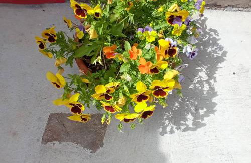 Casa das Mouriscas - Foto 66