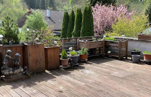 Barbara Blick - riesige Terrasse Schwäbischen Alb - Foto 12