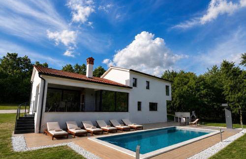 Vila Prisunca jacuzzi & swimming pool - Foto 1