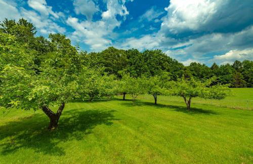 Catskill gem! Four bedroom on 20 quiet acres - Foto 12